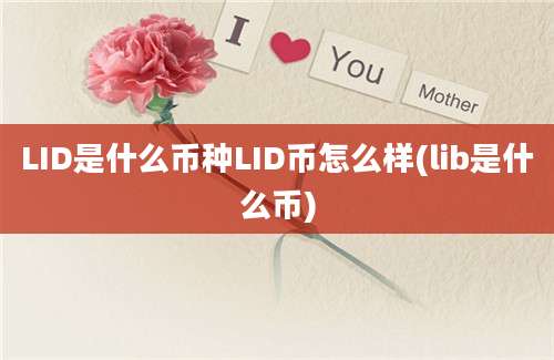 LID是什么币种LID币怎么样(lib是什么币)