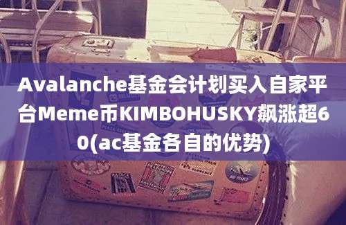 Avalanche基金会计划买入自家平台Meme币KIMBOHUSKY飙涨超60(ac基金各自的优势)