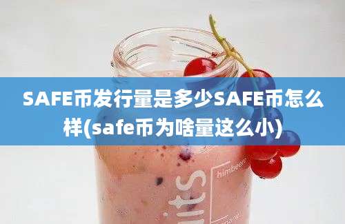 SAFE币发行量是多少SAFE币怎么样(safe币为啥量这么小)