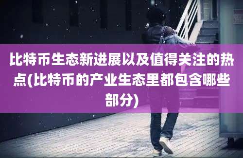 比特币生态新进展以及值得关注的热点(比特币的产业生态里都包含哪些部分)