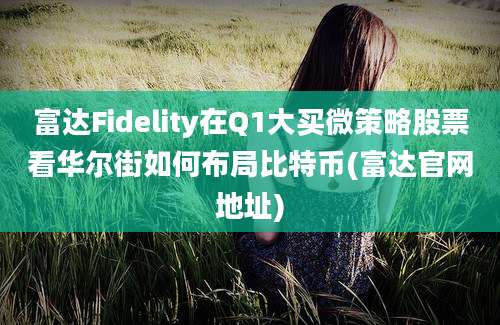 富达Fidelity在Q1大买微策略股票看华尔街如何布局比特币(富达官网地址)