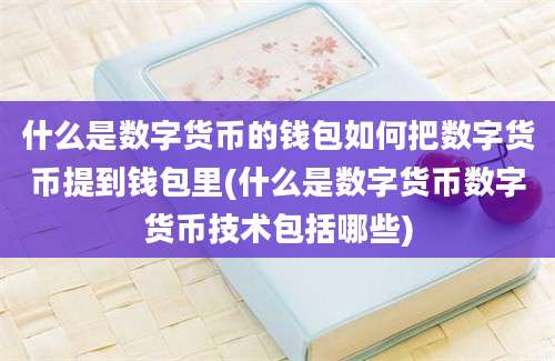 什么是数字货币的钱包如何把数字货币提到钱包里(什么是数字货币数字货币技术包括哪些)