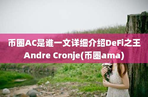 币圈AC是谁一文详细介绍DeFi之王Andre Cronje(币圈ama)