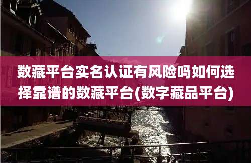 数藏平台实名认证有风险吗如何选择靠谱的数藏平台(数字藏品平台)