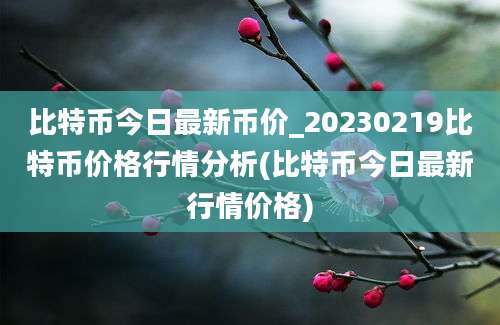 比特币今日最新币价_20230219比特币价格行情分析(比特币今日最新行情价格)