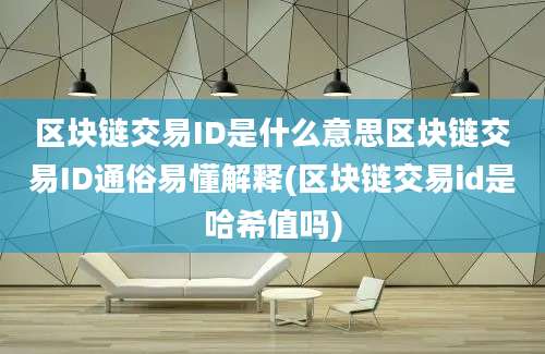 区块链交易ID是什么意思区块链交易ID通俗易懂解释(区块链交易id是哈希值吗)