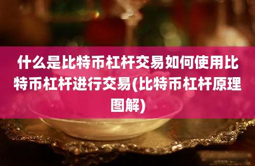 什么是比特币杠杆交易如何使用比特币杠杆进行交易(比特币杠杆原理图解)