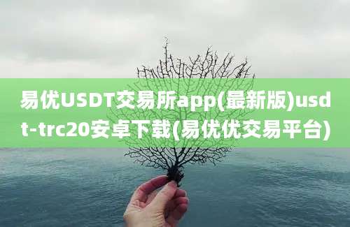 易优USDT交易所app(最新版)usdt-trc20安卓下载(易优优交易平台)