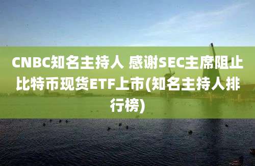 CNBC知名主持人 感谢SEC主席阻止比特币现货ETF上市(知名主持人排行榜)