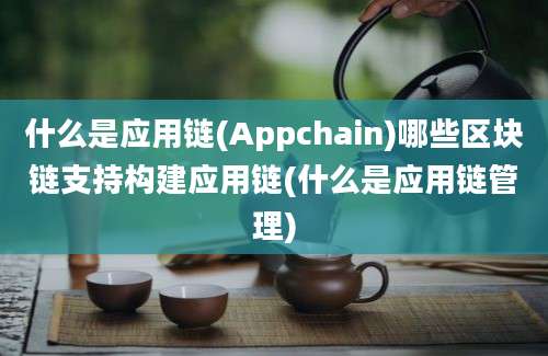 什么是应用链(Appchain)哪些区块链支持构建应用链(什么是应用链管理)