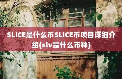 SLICE是什么币SLICE币项目详细介绍(slv是什么币种)