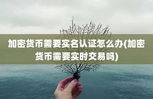 加密货币需要实名认证怎么办(加密货币需要实时交易吗)