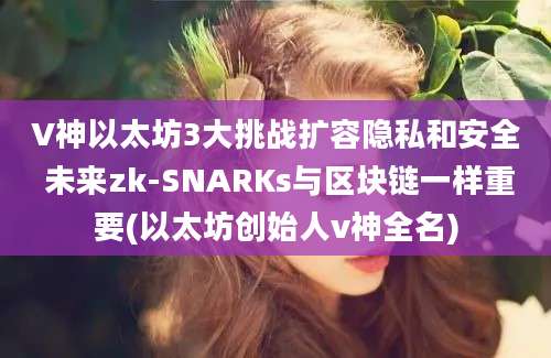 V神以太坊3大挑战扩容隐私和安全 未来zk-SNARKs与区块链一样重要(以太坊创始人v神全名)