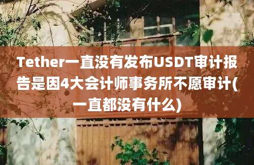 Tether一直没有发布USDT审计报告是因4大会计师事务所不愿审计(一直都没有什么)