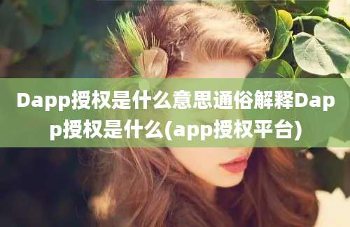 Dapp授权是什么意思通俗解释Dapp授权是什么(app授权平台)