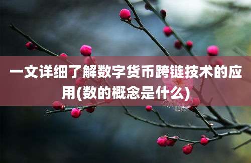 一文详细了解数字货币跨链技术的应用(数的概念是什么)