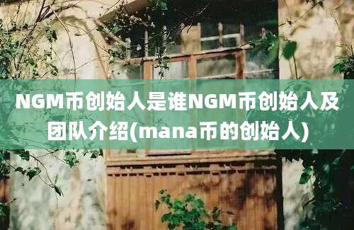 NGM币创始人是谁NGM币创始人及团队介绍(mana币的创始人)