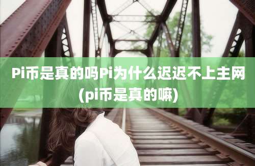 Pi币是真的吗Pi为什么迟迟不上主网(pi币是真的嘛)