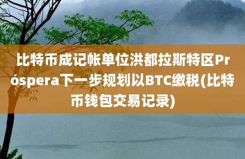 比特币成记帐单位洪都拉斯特区Próspera下一步规划以BTC缴税(比特币钱包交易记录)