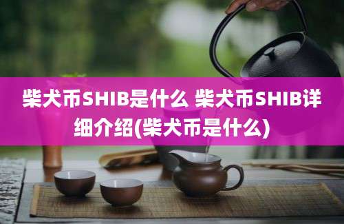 柴犬币SHIB是什么 柴犬币SHIB详细介绍(柴犬币是什么)