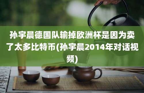 孙宇晨德国队输掉欧洲杯是因为卖了太多比特币(孙宇晨2014年对话视频)