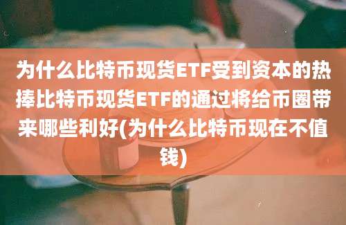 为什么比特币现货ETF受到资本的热捧比特币现货ETF的通过将给币圈带来哪些利好(为什么比特币现在不值钱)