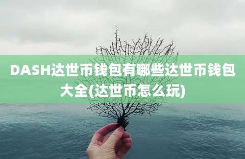 DASH达世币钱包有哪些达世币钱包大全(达世币怎么玩)