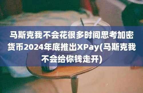 马斯克我不会花很多时间思考加密货币2024年底推出XPay(马斯克我不会给你钱走开)