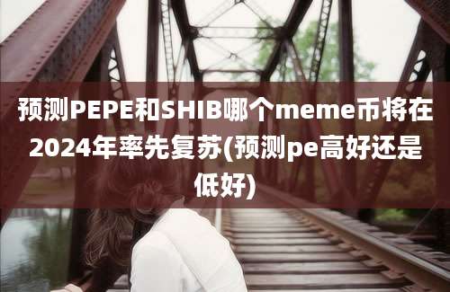 预测PEPE和SHIB哪个meme币将在2024年率先复苏(预测pe高好还是低好)