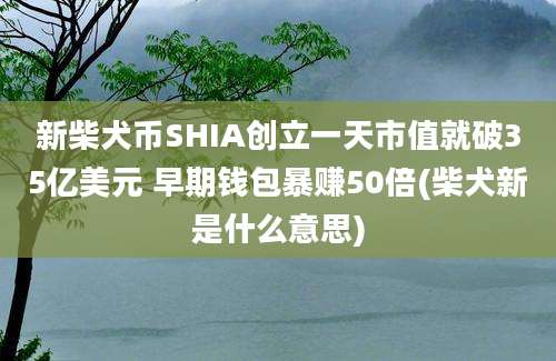 新柴犬币SHIA创立一天市值就破35亿美元 早期钱包暴赚50倍(柴犬新是什么意思)