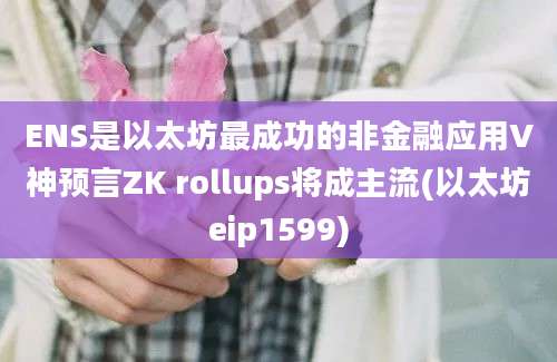 ENS是以太坊最成功的非金融应用V神预言ZK rollups将成主流(以太坊eip1599)