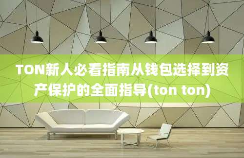 TON新人必看指南从钱包选择到资产保护的全面指导(ton ton)