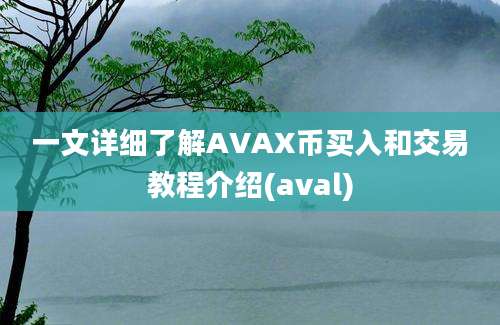 一文详细了解AVAX币买入和交易教程介绍(aval)