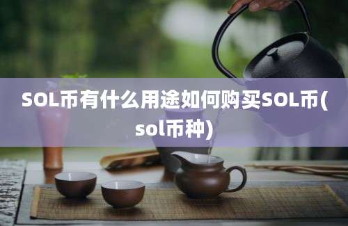 SOL币有什么用途如何购买SOL币(sol币种)