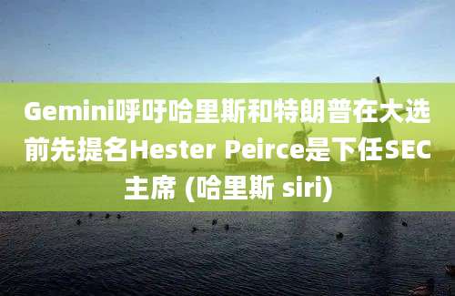 Gemini呼吁哈里斯和特朗普在大选前先提名Hester Peirce是下任SEC主席 (哈里斯 siri)