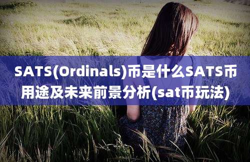 SATS(Ordinals)币是什么SATS币用途及未来前景分析(sat币玩法)