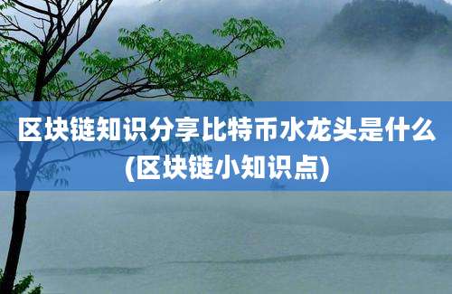 区块链知识分享比特币水龙头是什么(区块链小知识点)