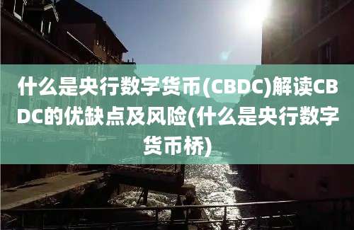 什么是央行数字货币(CBDC)解读CBDC的优缺点及风险(什么是央行数字货币桥)