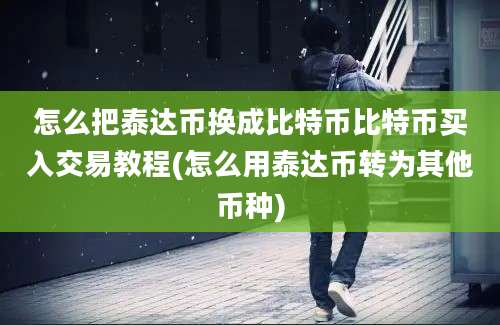 怎么把泰达币换成比特币比特币买入交易教程(怎么用泰达币转为其他币种)