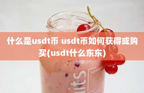 什么是usdt币 usdt币如何获得或购买(usdt什么东东)