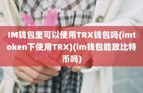 IM钱包里可以使用TRX钱包吗(imtoken下使用TRX)(im钱包能放比特币吗)