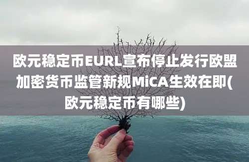 欧元稳定币EURL宣布停止发行欧盟加密货币监管新规MiCA生效在即(欧元稳定币有哪些)