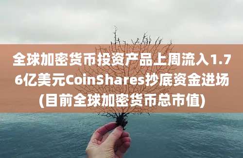 全球加密货币投资产品上周流入1.76亿美元CoinShares抄底资金进场(目前全球加密货币总市值)