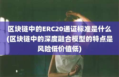 区块链中的ERC20通证标准是什么(区块链中的深度融合模型的特点是风险低价值低)