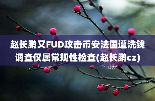 赵长鹏又FUD攻击币安法国遭洗钱调查仅属常规性检查(赵长鹏cz)