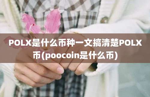 POLX是什么币种一文搞清楚POLX币(poocoin是什么币)