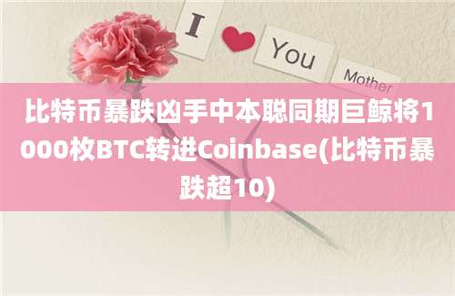 比特币暴跌凶手中本聪同期巨鲸将1000枚BTC转进Coinbase(比特币暴跌超10)