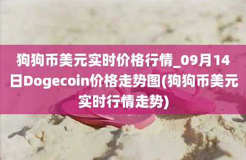 狗狗币美元实时价格行情_09月14日Dogecoin价格走势图(狗狗币美元实时行情走势)