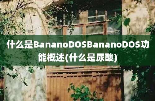 什么是BananoDOSBananoDOS功能概述(什么是尿酸)