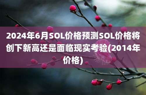 2024年6月SOL价格预测SOL价格将创下新高还是面临现实考验(2014年价格)